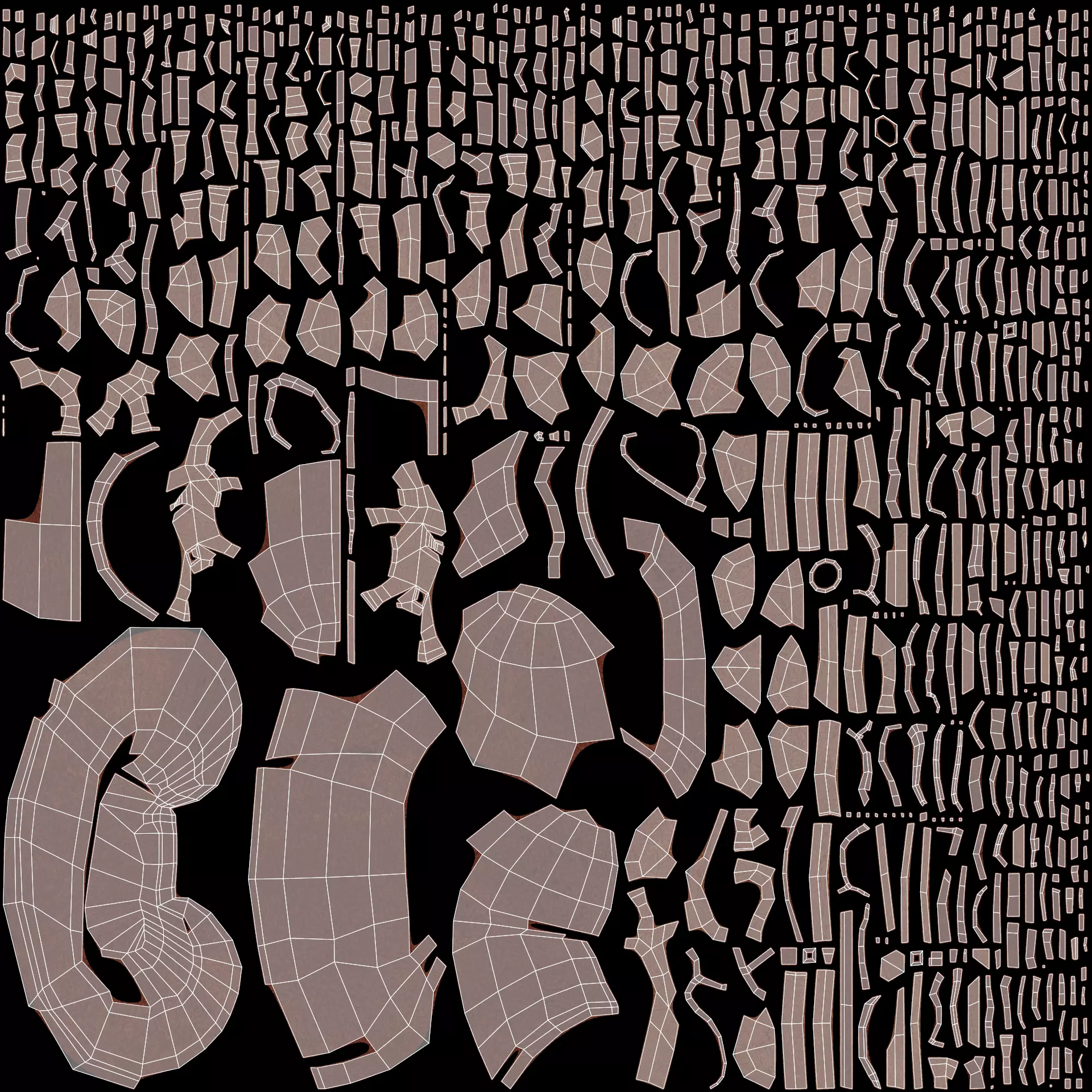 Kidney Cross-Section V2 - Realistic Human Anatomy 3D model_7