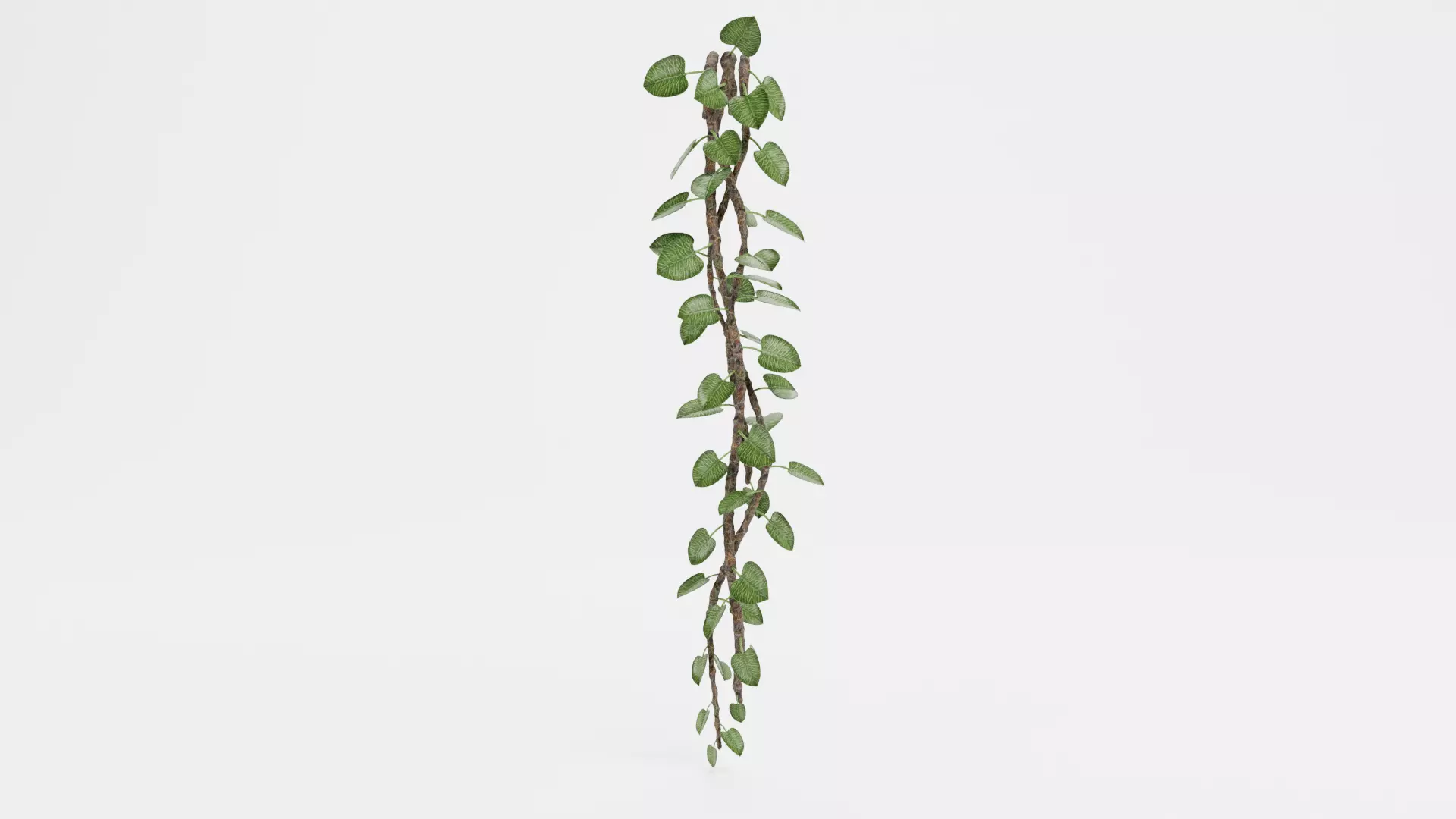 Liana Plant V1 - Multiple Hanging Greenery Strands 3D model