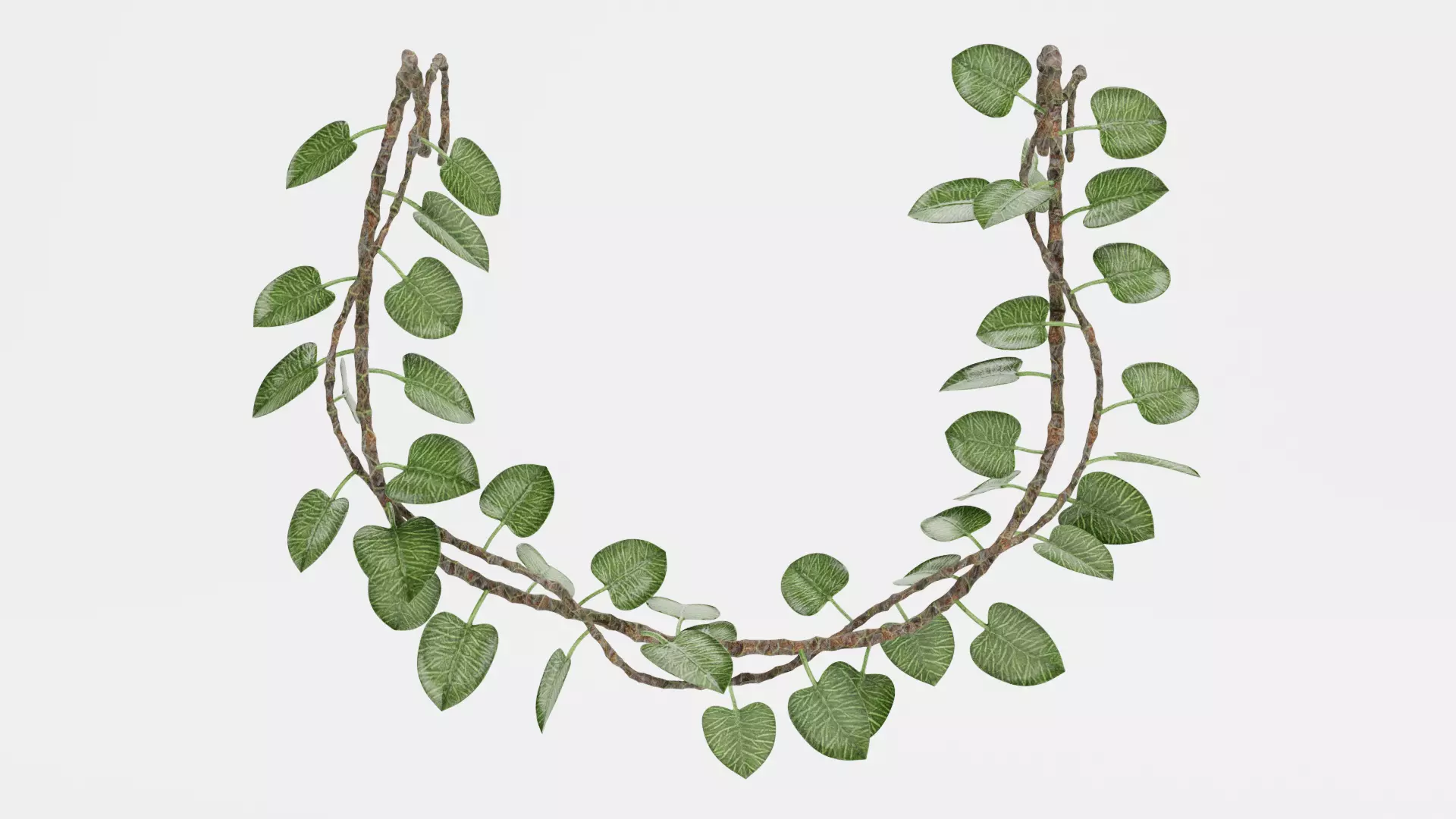 Liana Plant V3 - Hanging Greenery Strands Arrangement 3D model
