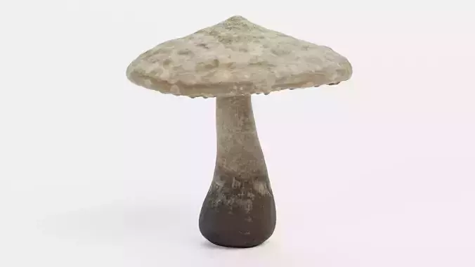 Mushroom - Organic Stylized Fungi Low-poly 3D model