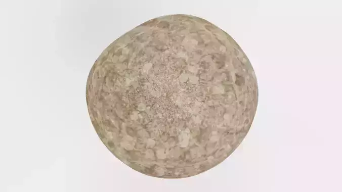 Mushroom - Organic Stylized Fungi Low-poly 3D model 4