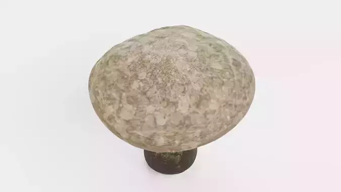 Mushroom - Organic Stylized Fungi Low-poly 3D model 3