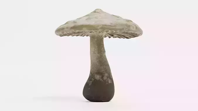 Mushroom - Organic Stylized Fungi Low-poly 3D model 5
