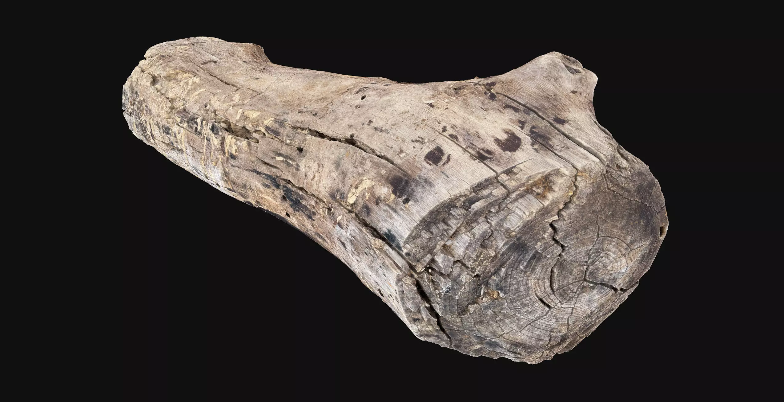 Realistic Cracked tree trunk timber wood 3D Scan in highpoly 3D model_4