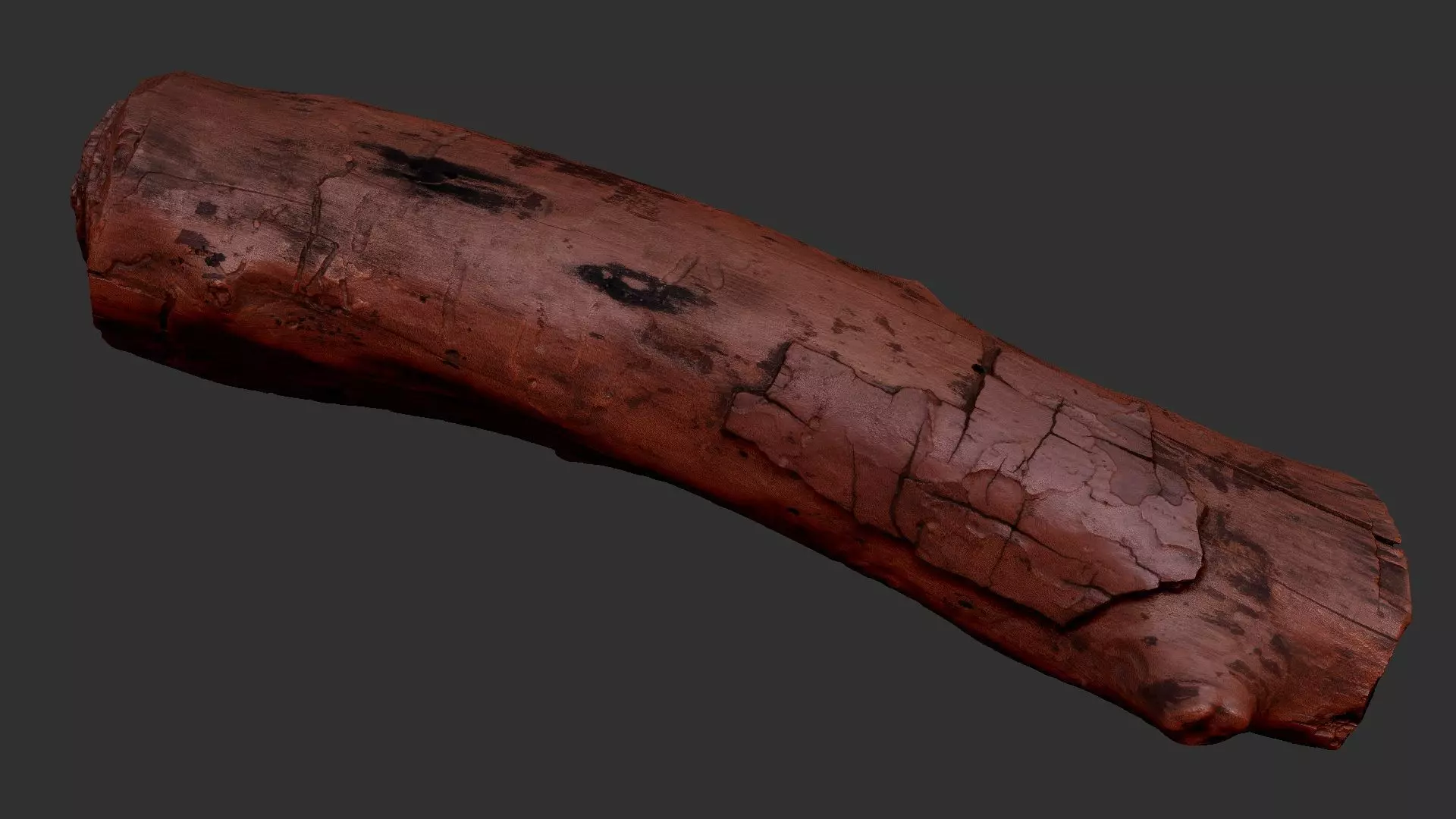 Realistic Cracked tree trunk timber wood 3D Scan in highpoly 3D model_8