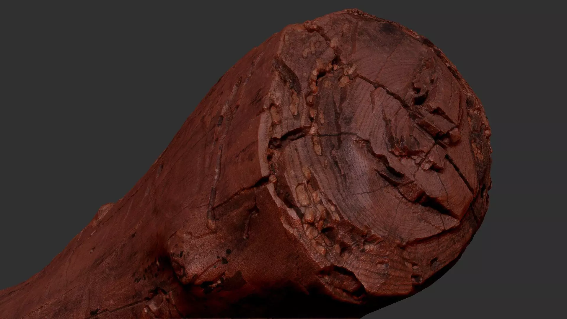 Realistic Cracked tree trunk timber wood 3D Scan in highpoly 3D model_11