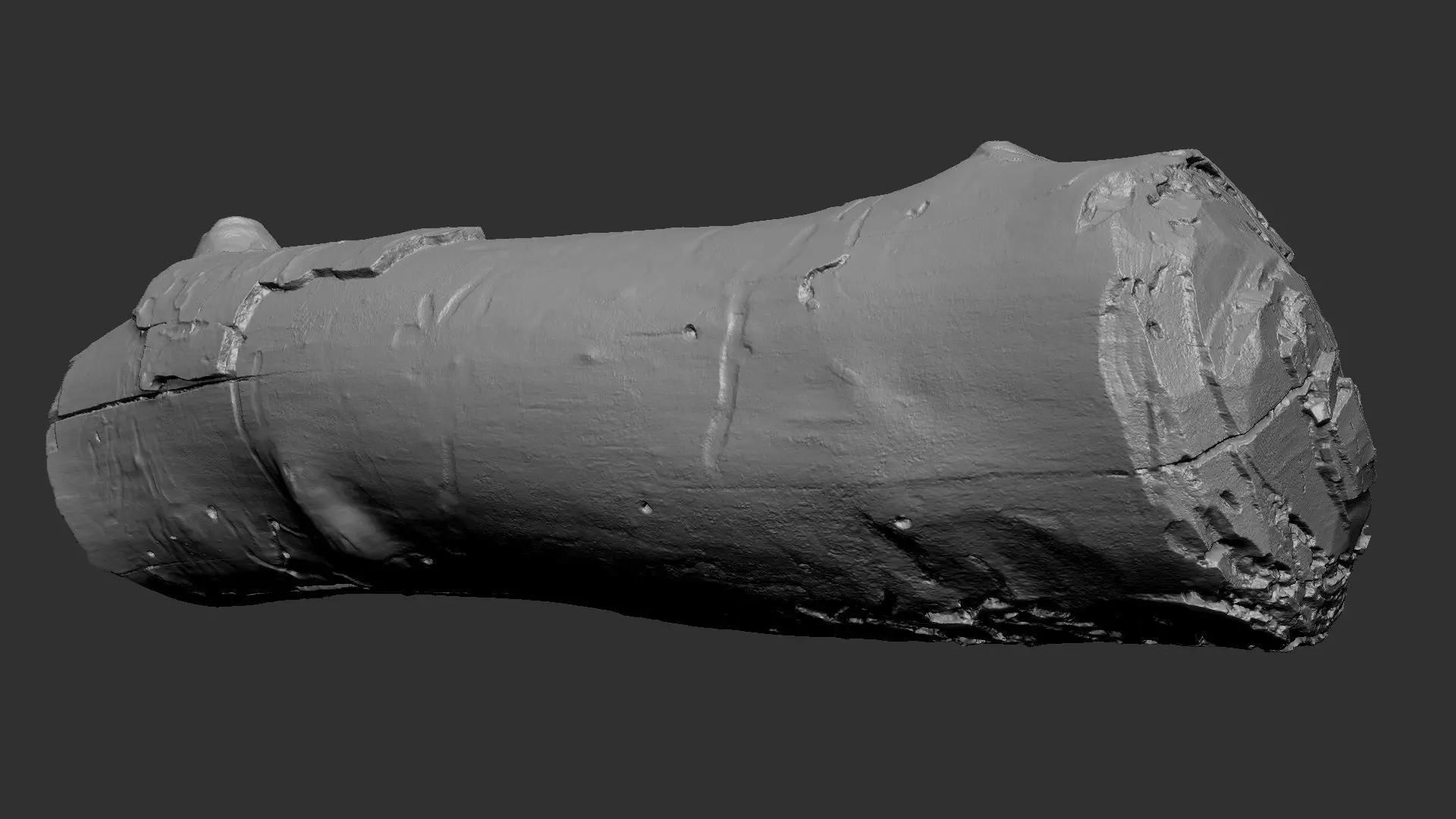 Realistic Cracked tree trunk timber wood 3D Scan in highpoly 3D model_24