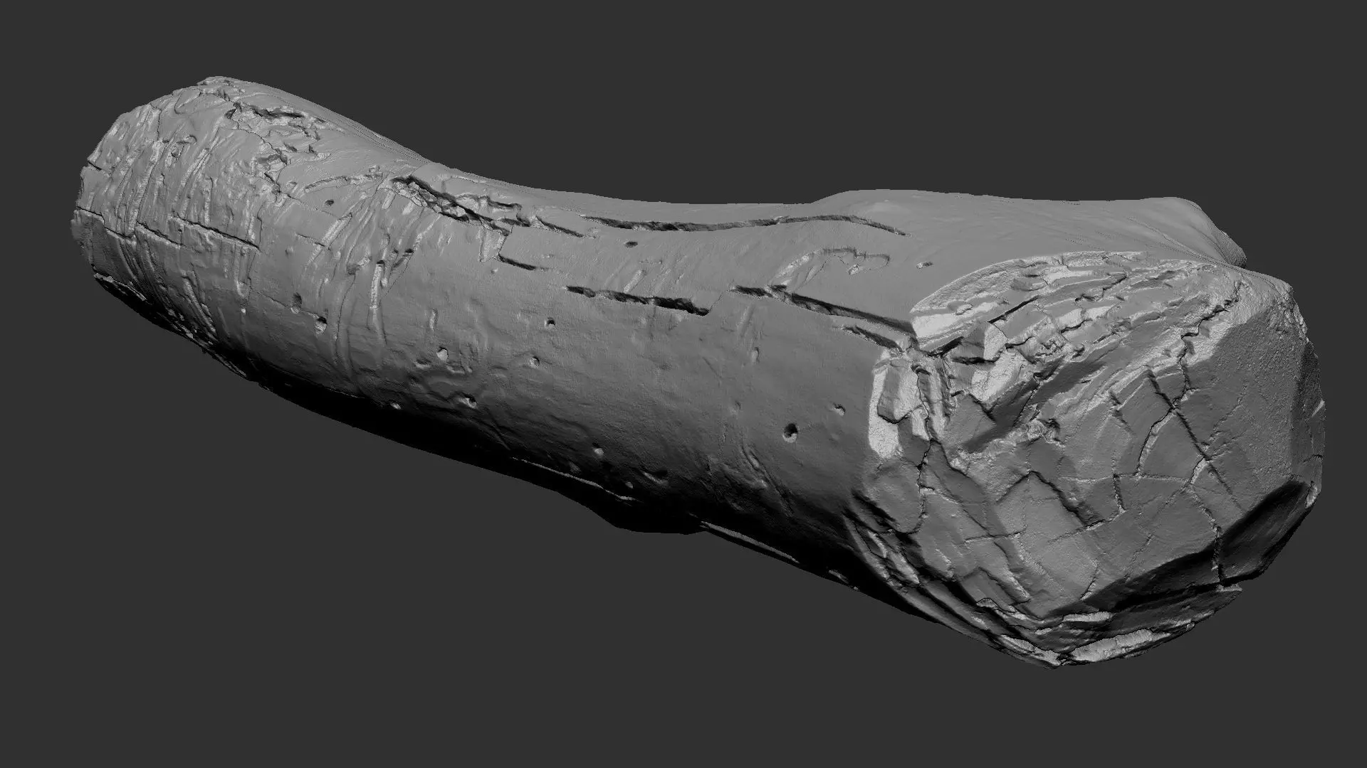 Realistic Cracked tree trunk timber wood 3D Scan in highpoly 3D model_22