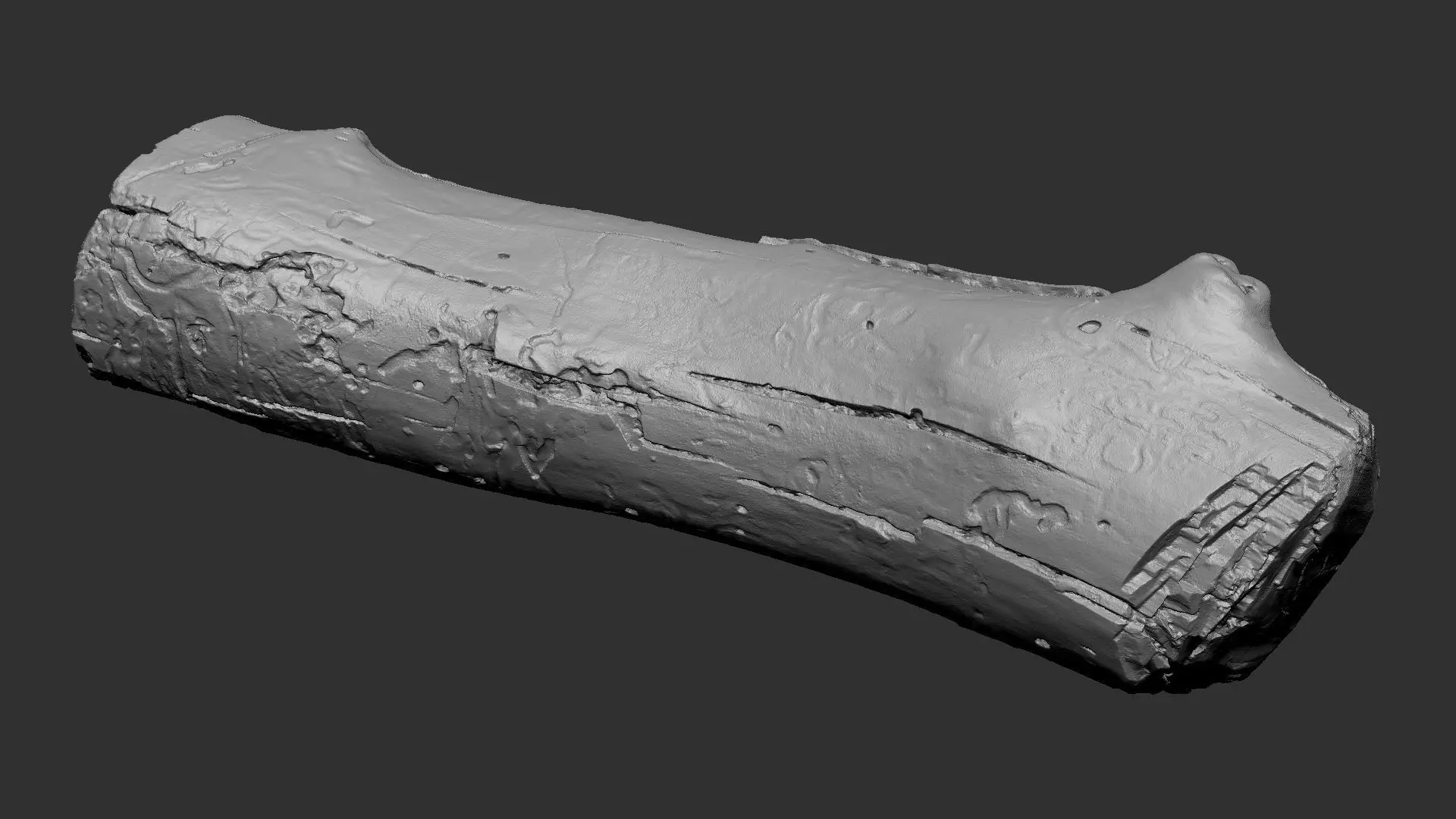 Realistic Cracked tree trunk timber wood 3D Scan in highpoly 3D model_20