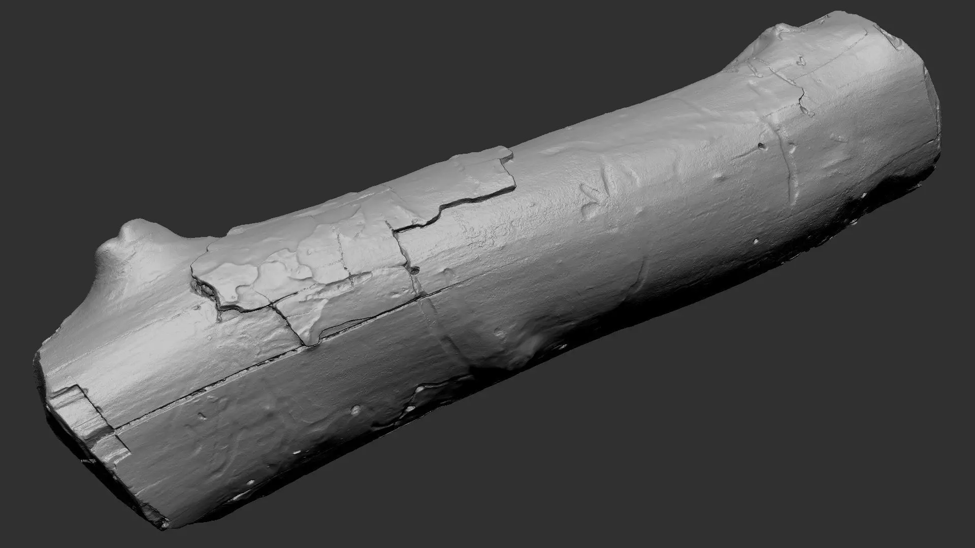 Realistic Cracked tree trunk timber wood 3D Scan in highpoly 3D model_21