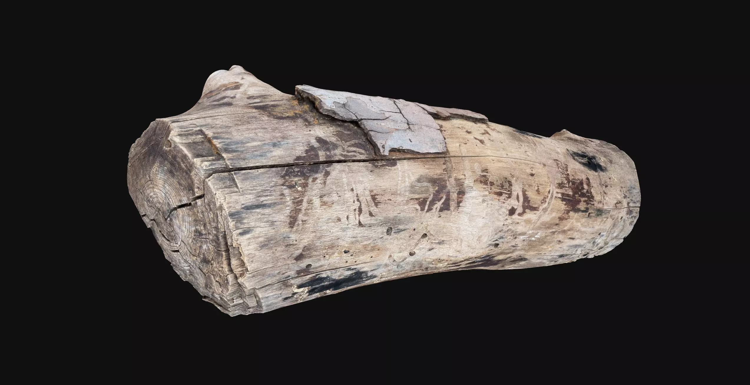 Realistic Cracked tree trunk timber wood 3D Scan in highpoly 3D model_14