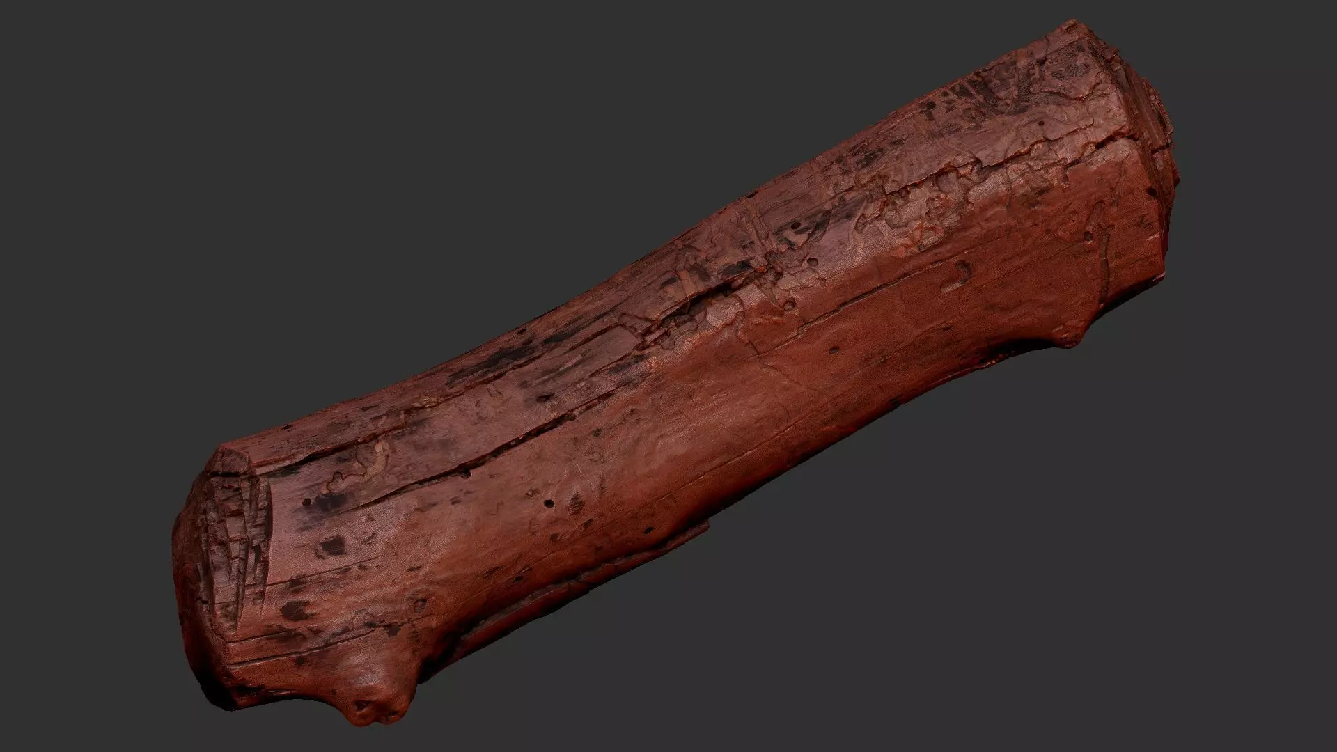 Realistic Cracked tree trunk timber wood 3D Scan in highpoly 3D model_7