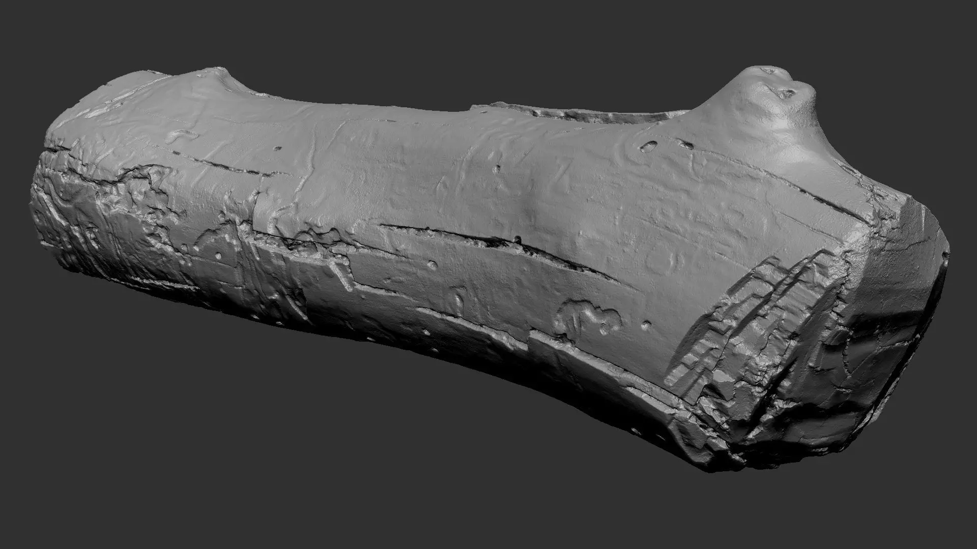 Realistic Cracked tree trunk timber wood 3D Scan in highpoly 3D model_23