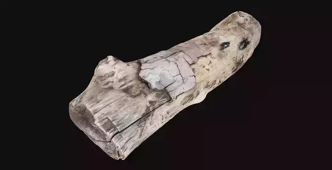 Realistic Cracked tree trunk timber wood 3D Scan in highpoly