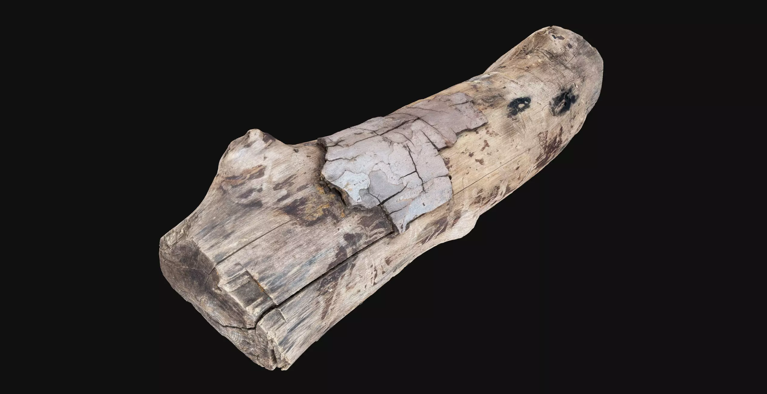 Realistic Cracked tree trunk timber wood 3D Scan in highpoly 3D model_0