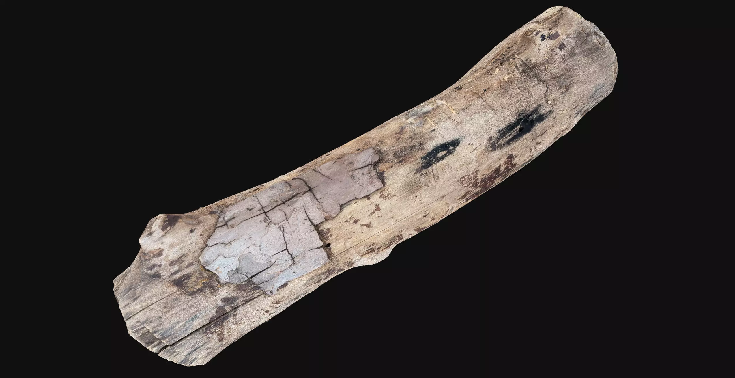 Realistic Cracked tree trunk timber wood 3D Scan in highpoly 3D model_19