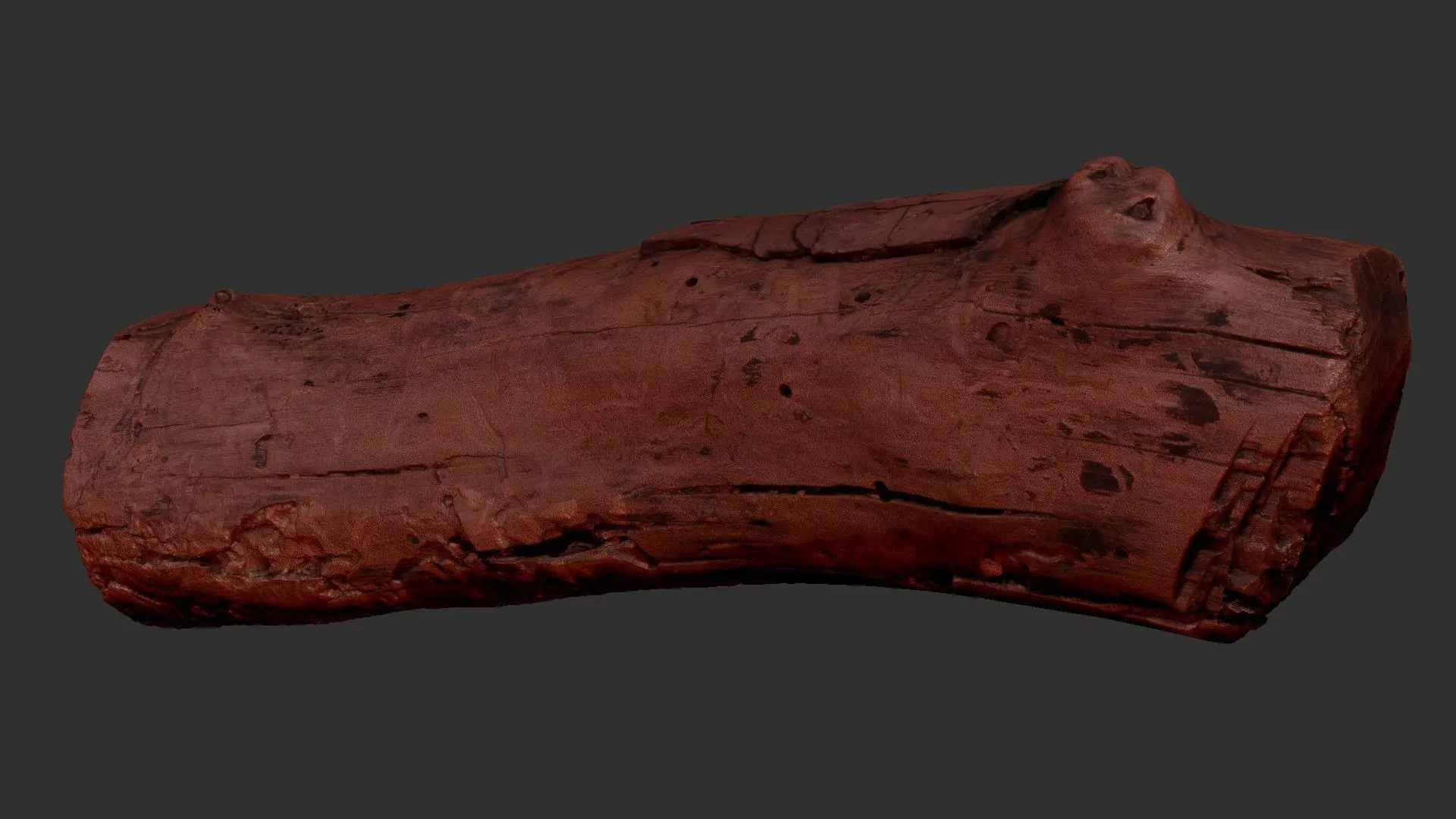 Realistic Cracked tree trunk timber wood 3D Scan in highpoly 3D model_10
