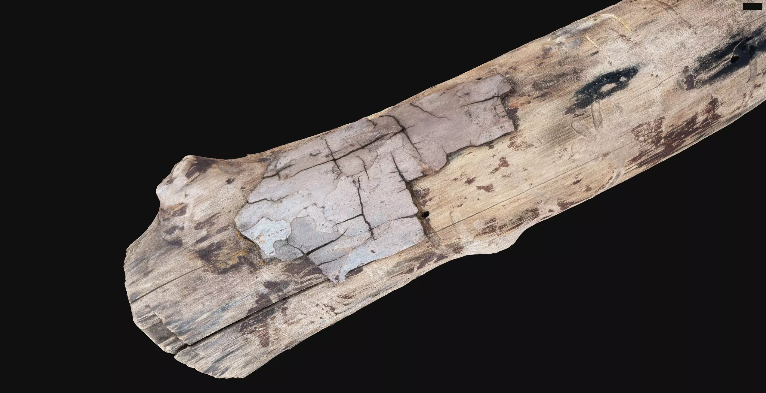 Realistic Cracked tree trunk timber wood 3D Scan in highpoly 3D model_3