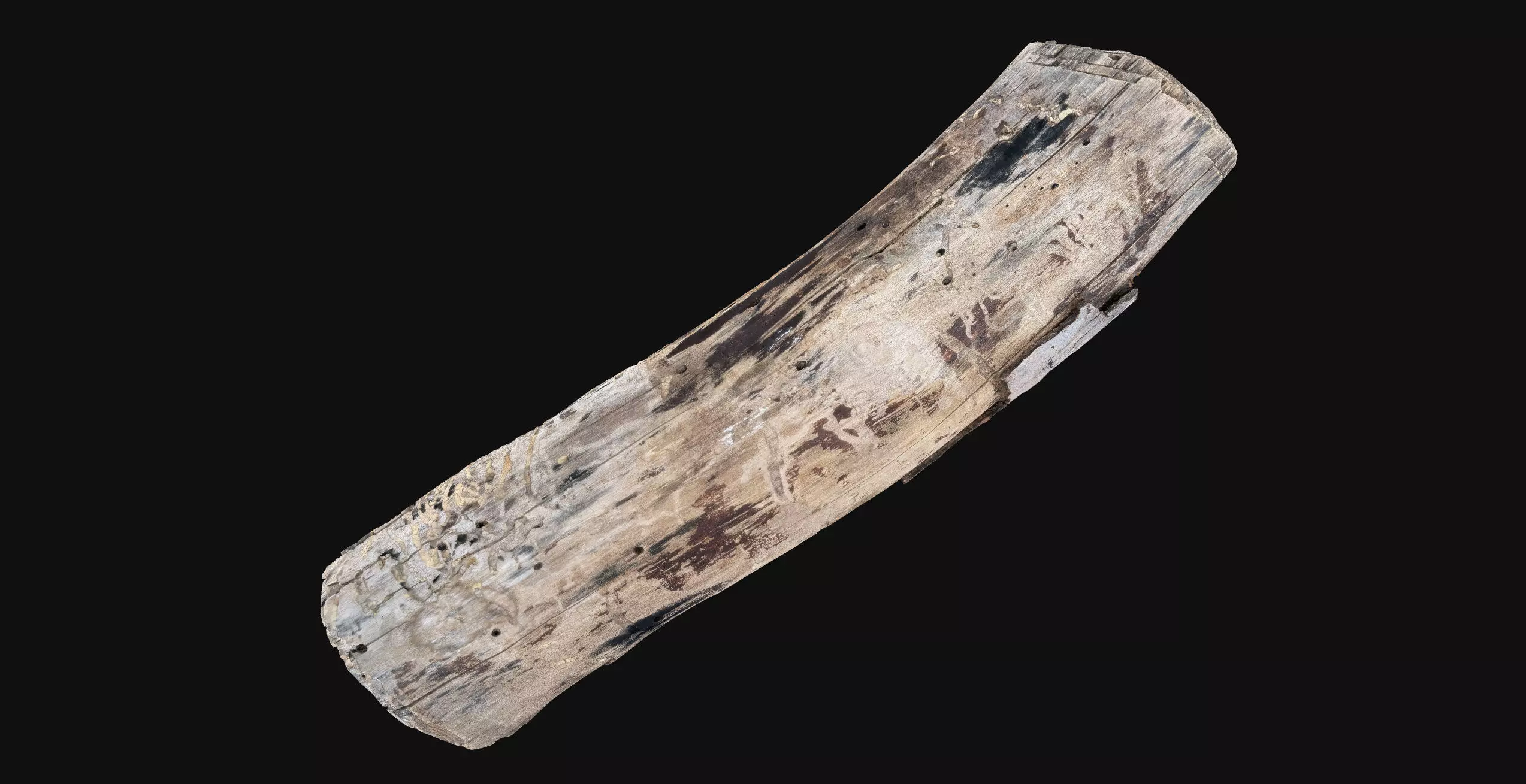 Realistic Cracked tree trunk timber wood 3D Scan in highpoly 3D model_13