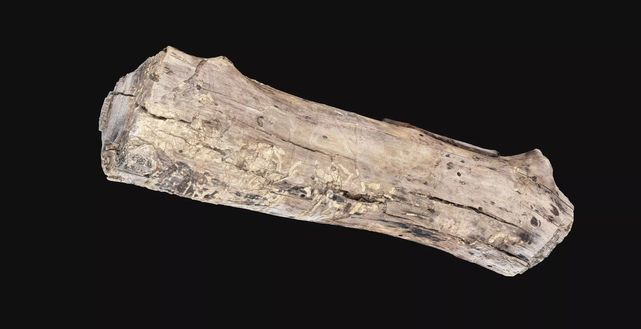 Realistic Cracked tree trunk timber wood 3D Scan in highpoly 3D model_5