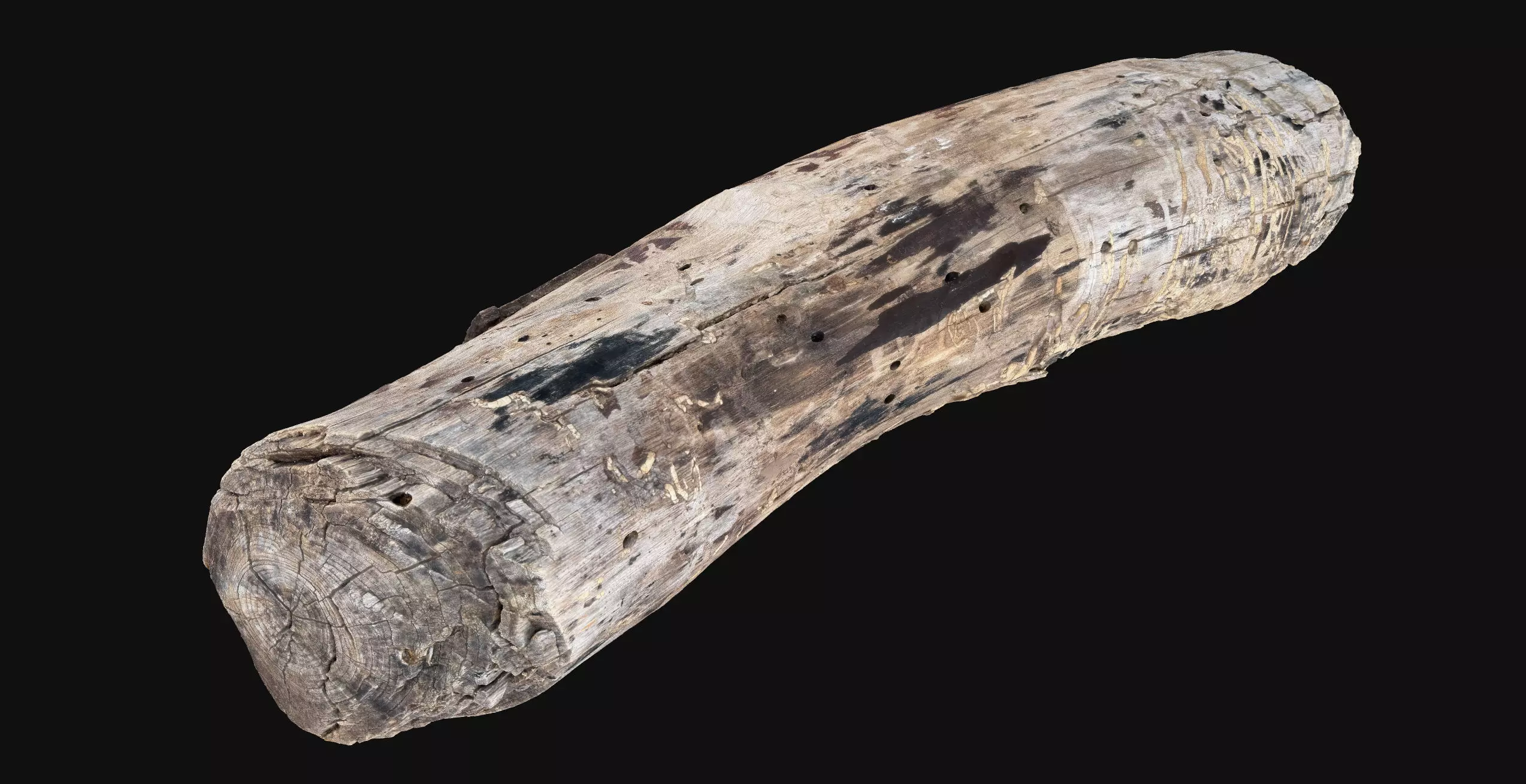 Realistic Cracked tree trunk timber wood 3D Scan in highpoly 3D model_15