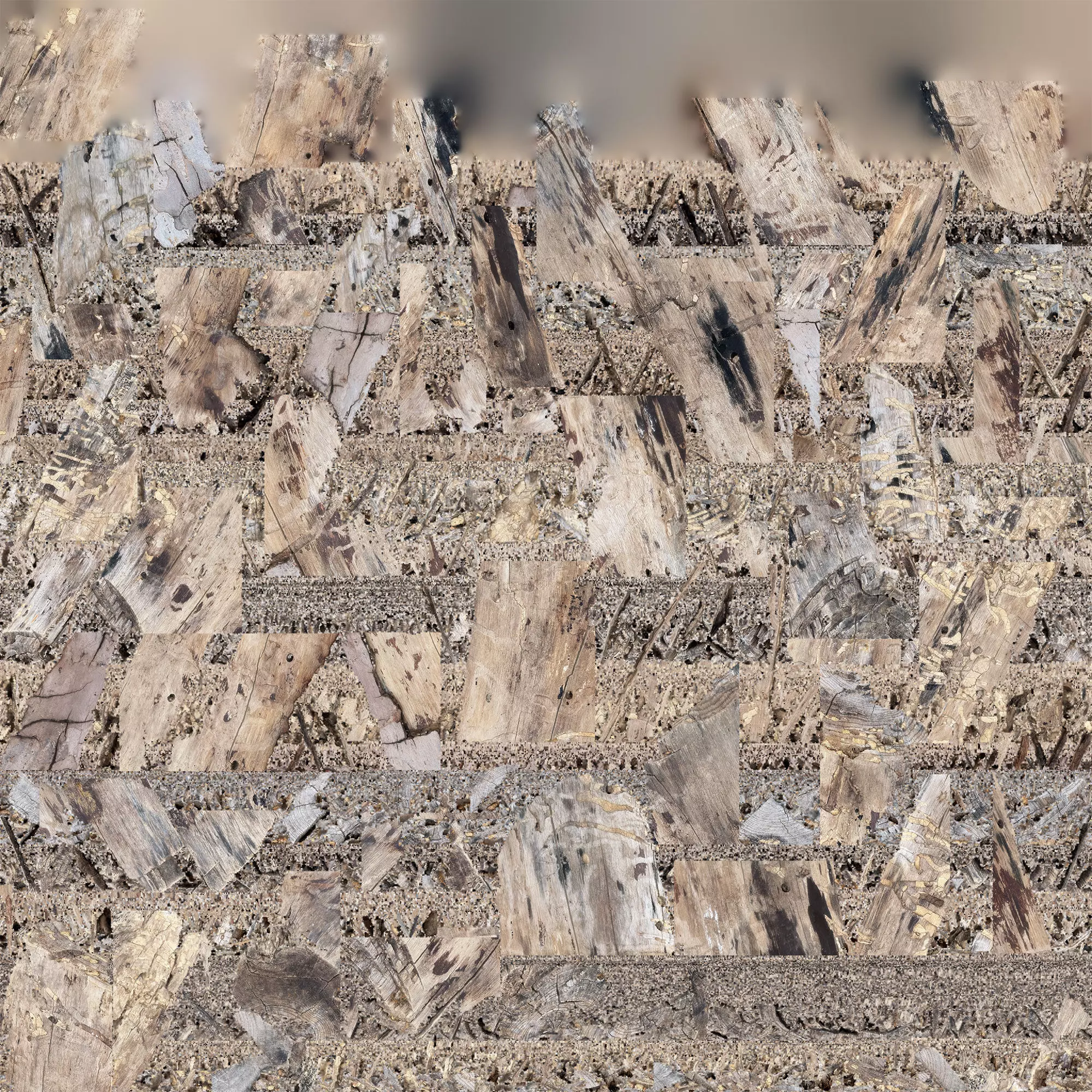 Realistic Cracked tree trunk timber wood 3D Scan in highpoly 3D model_26