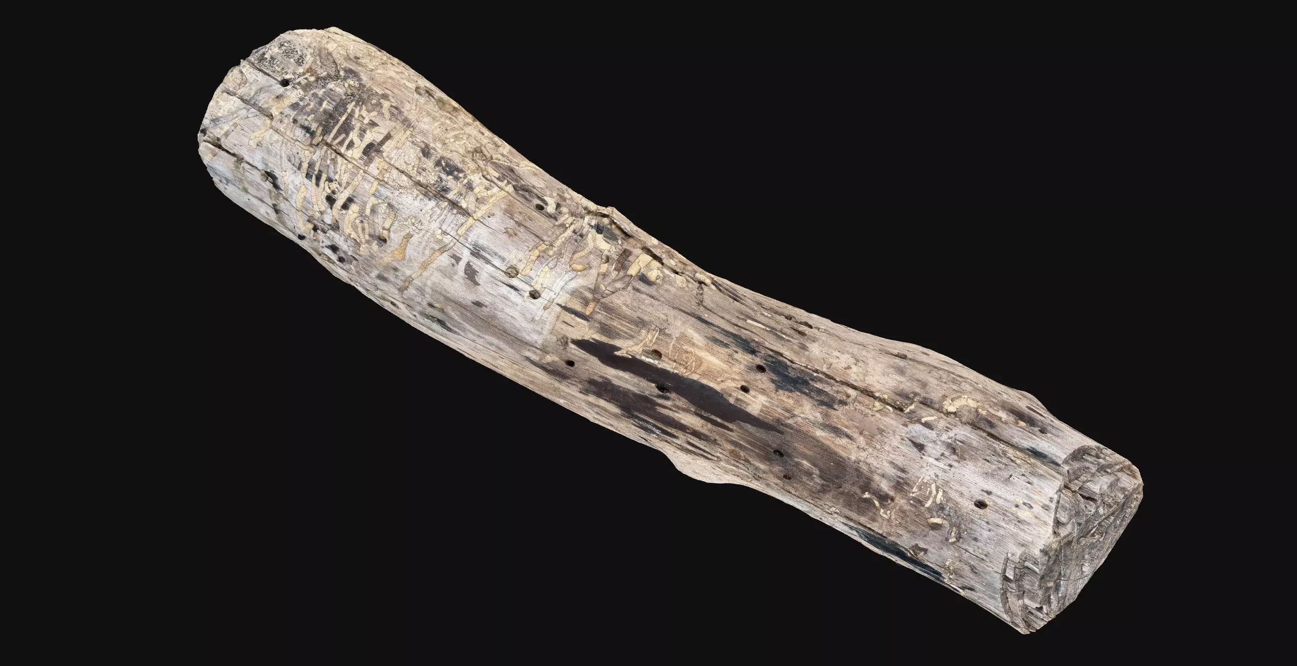 Realistic Cracked tree trunk timber wood 3D Scan in highpoly 3D model_16