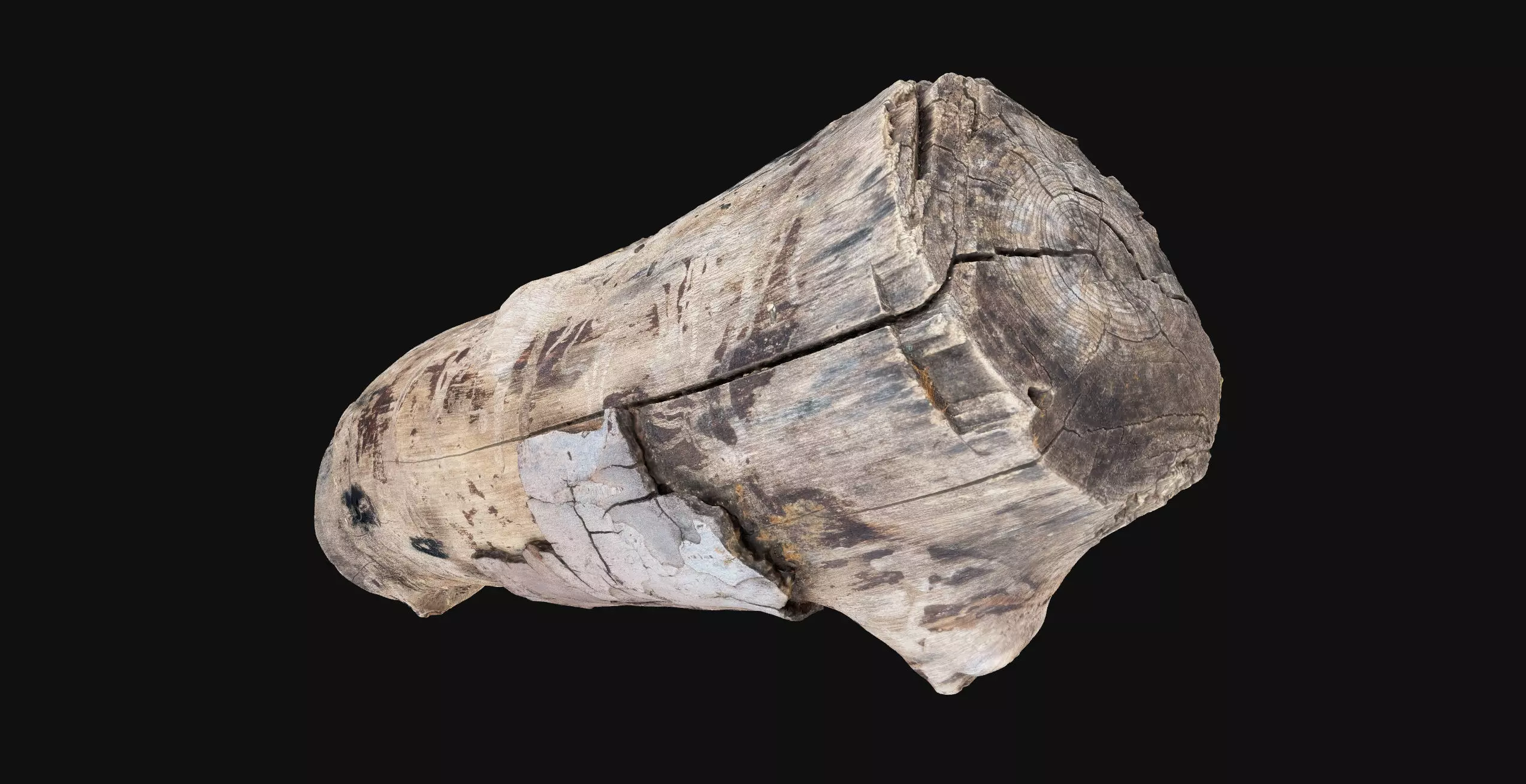 Realistic Cracked tree trunk timber wood 3D Scan in highpoly 3D model_12