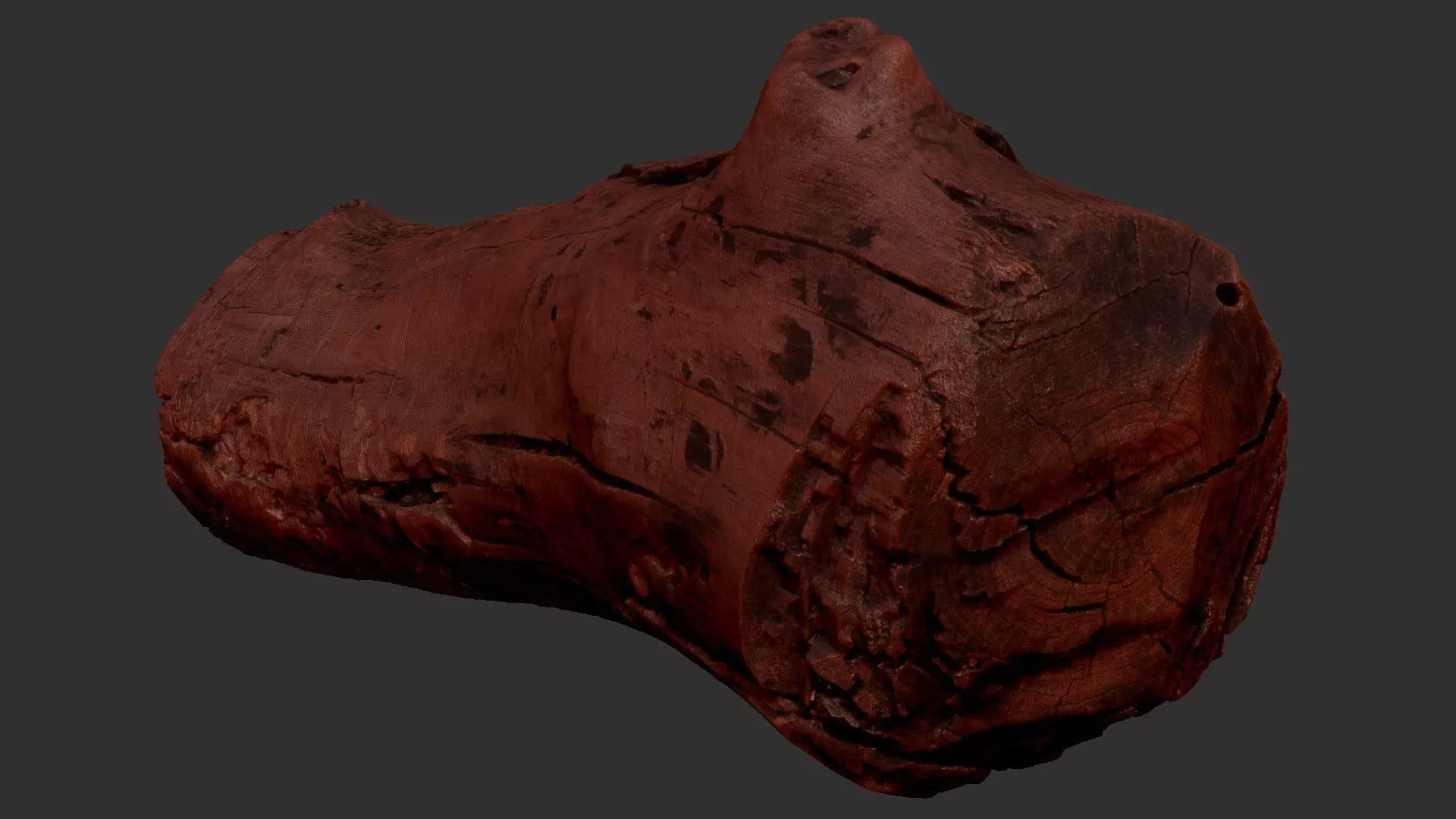 Realistic Cracked tree trunk timber wood 3D Scan in highpoly 3D model_9