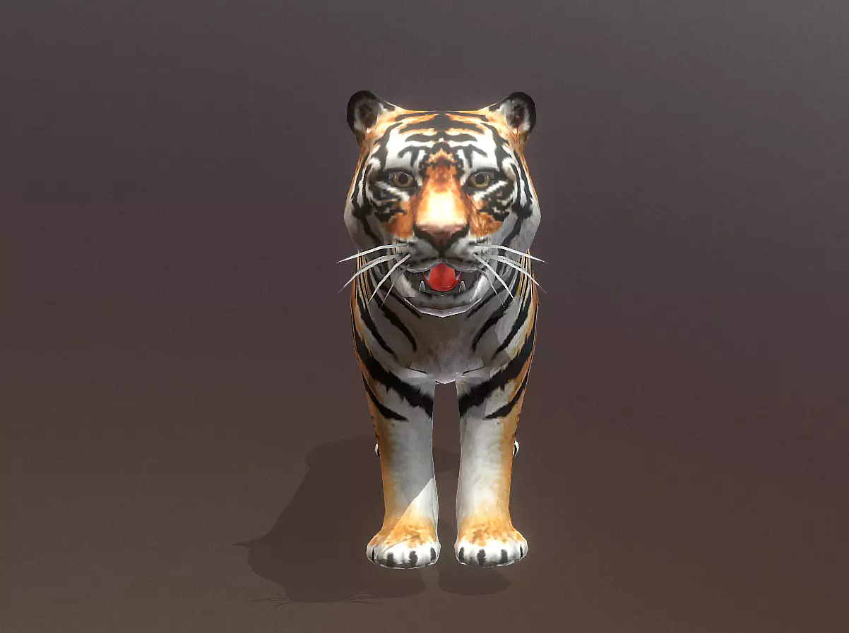 YOUNG Male TIGER IDLE HUNGRY Fbx Pbr Animated 3D model_2