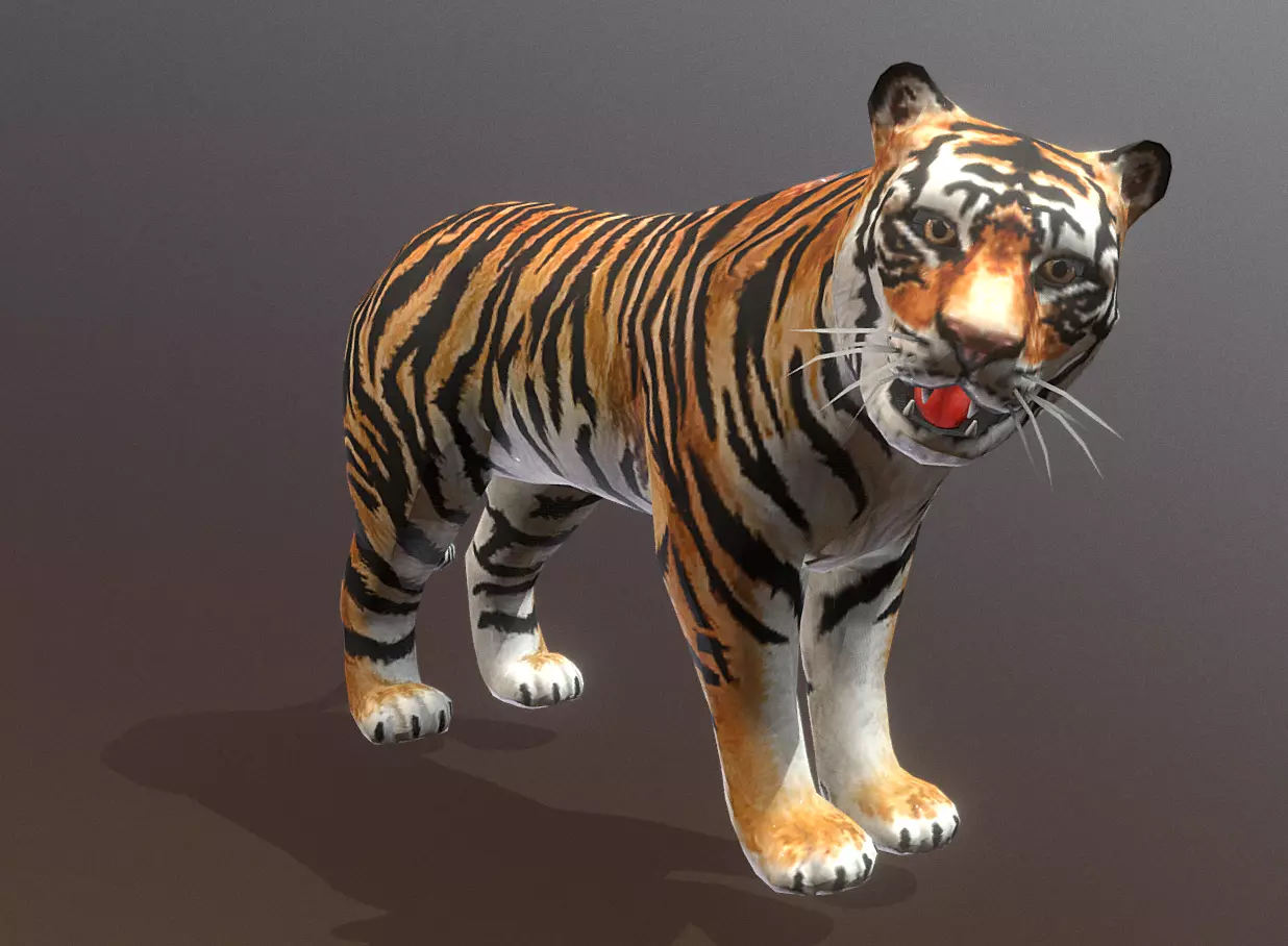 YOUNG Male TIGER IDLE HUNGRY Fbx Pbr Animated 3D model_0