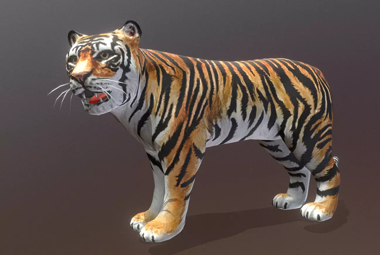 YOUNG Male TIGER IDLE HUNGRY Fbx Pbr Animated 3D model_1