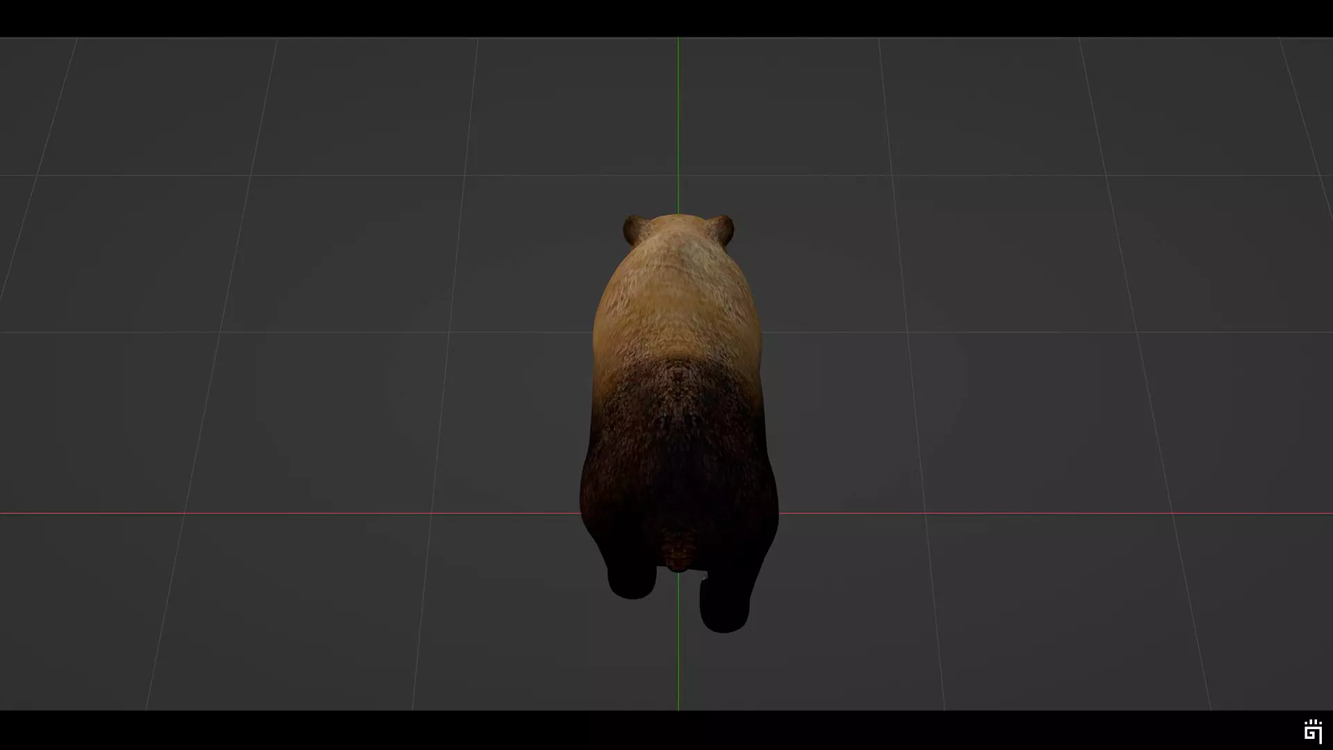Forest Brown Bear Low-poly 3D model_13