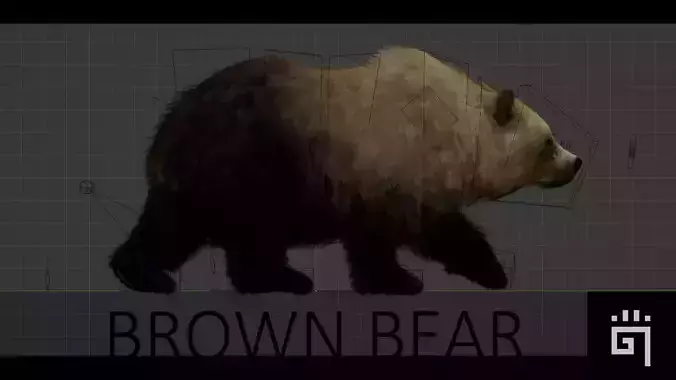 Forest Brown Bear
