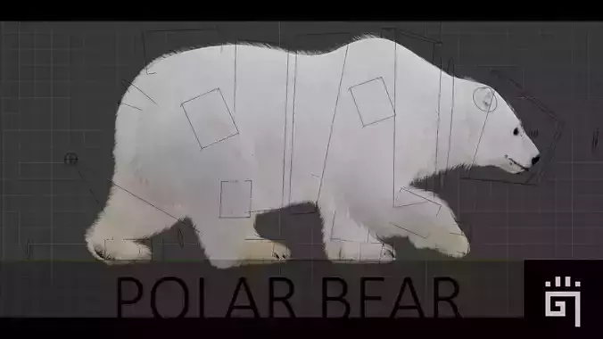 Polar Bear