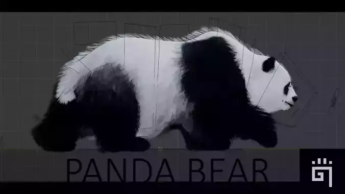 Panda Bear