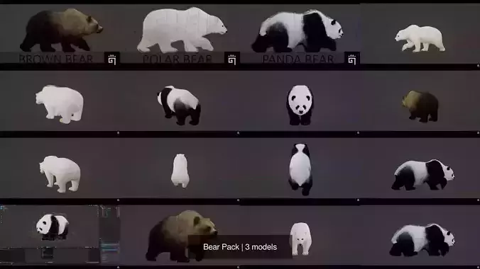 Bear Pack