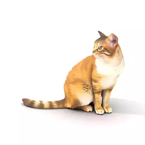 Ginger Tabby Cat model pack