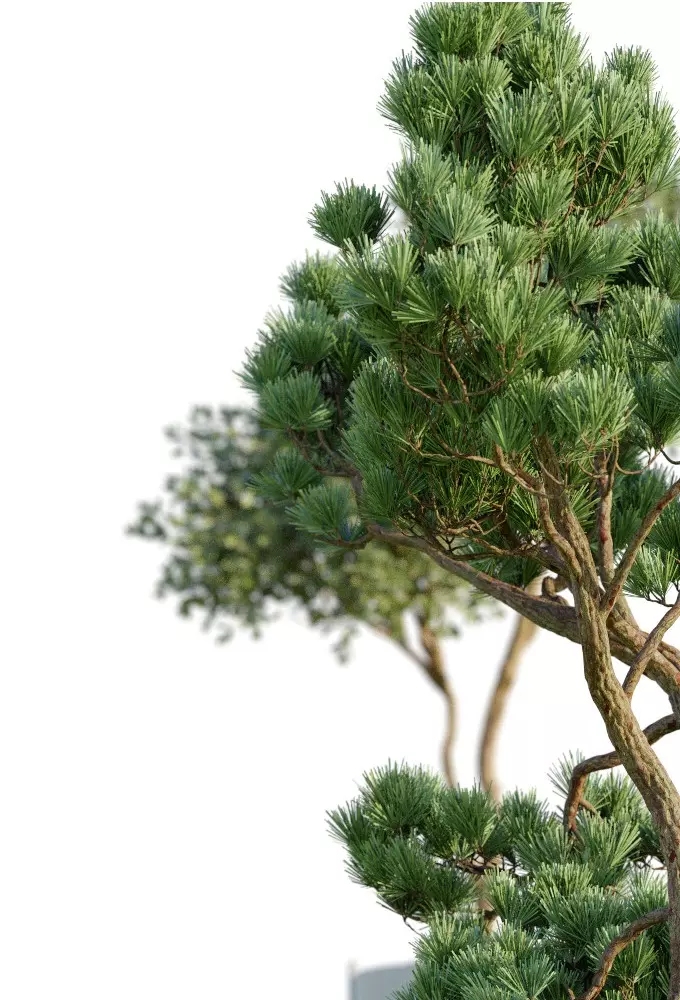 10 Military Vehicles Collection v7 Free 3D model_6