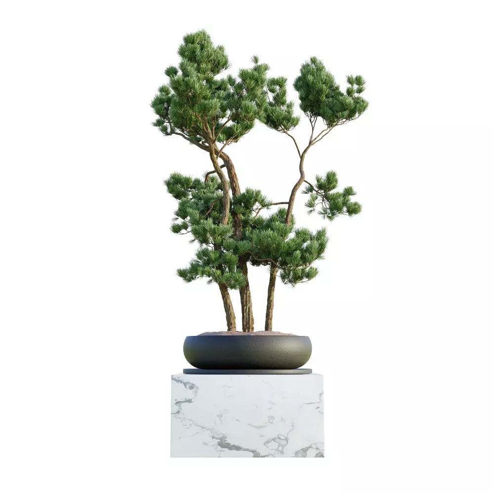 10 Military Vehicles Collection v7 Free 3D model_2