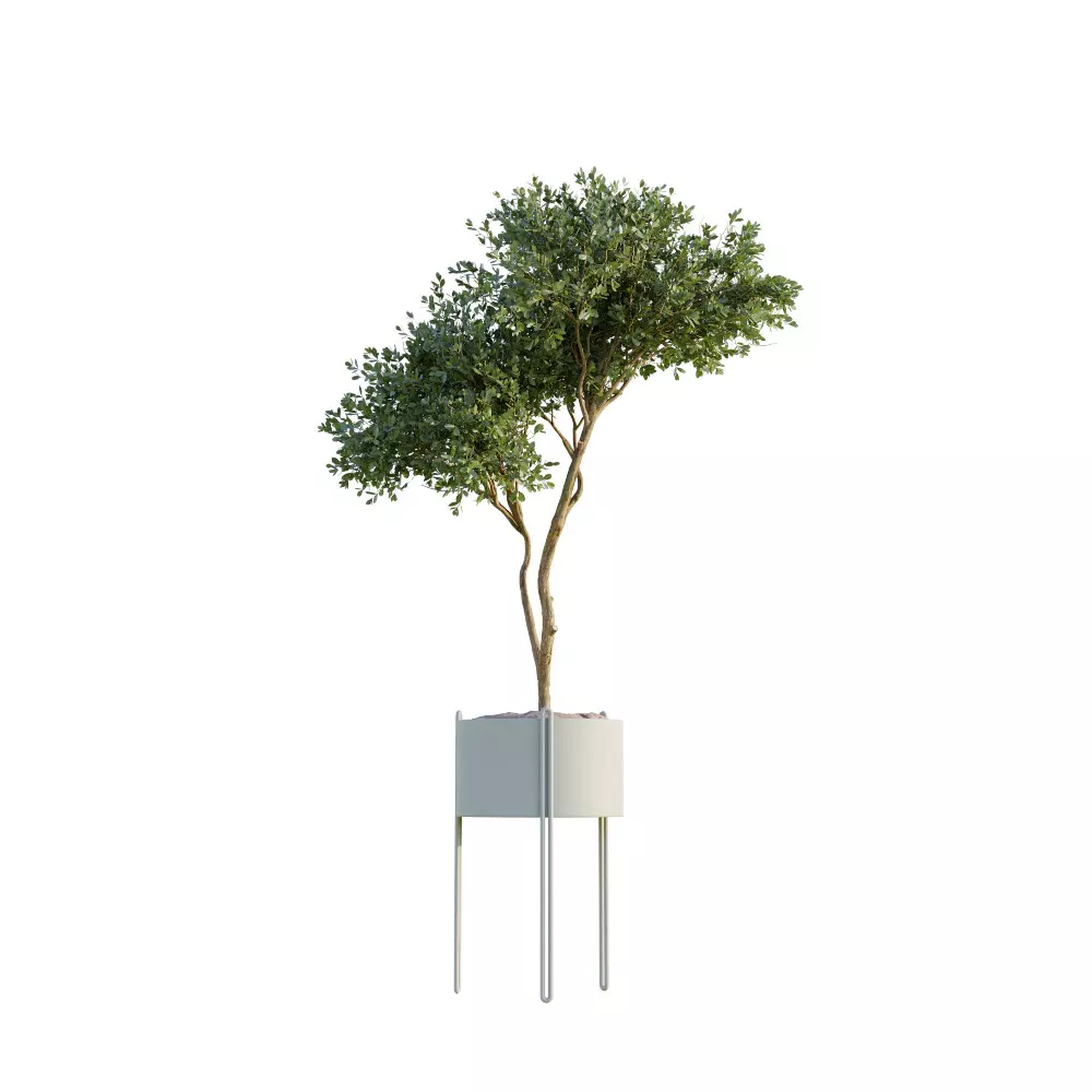 10 Military Vehicles Collection v7 Free 3D model_4