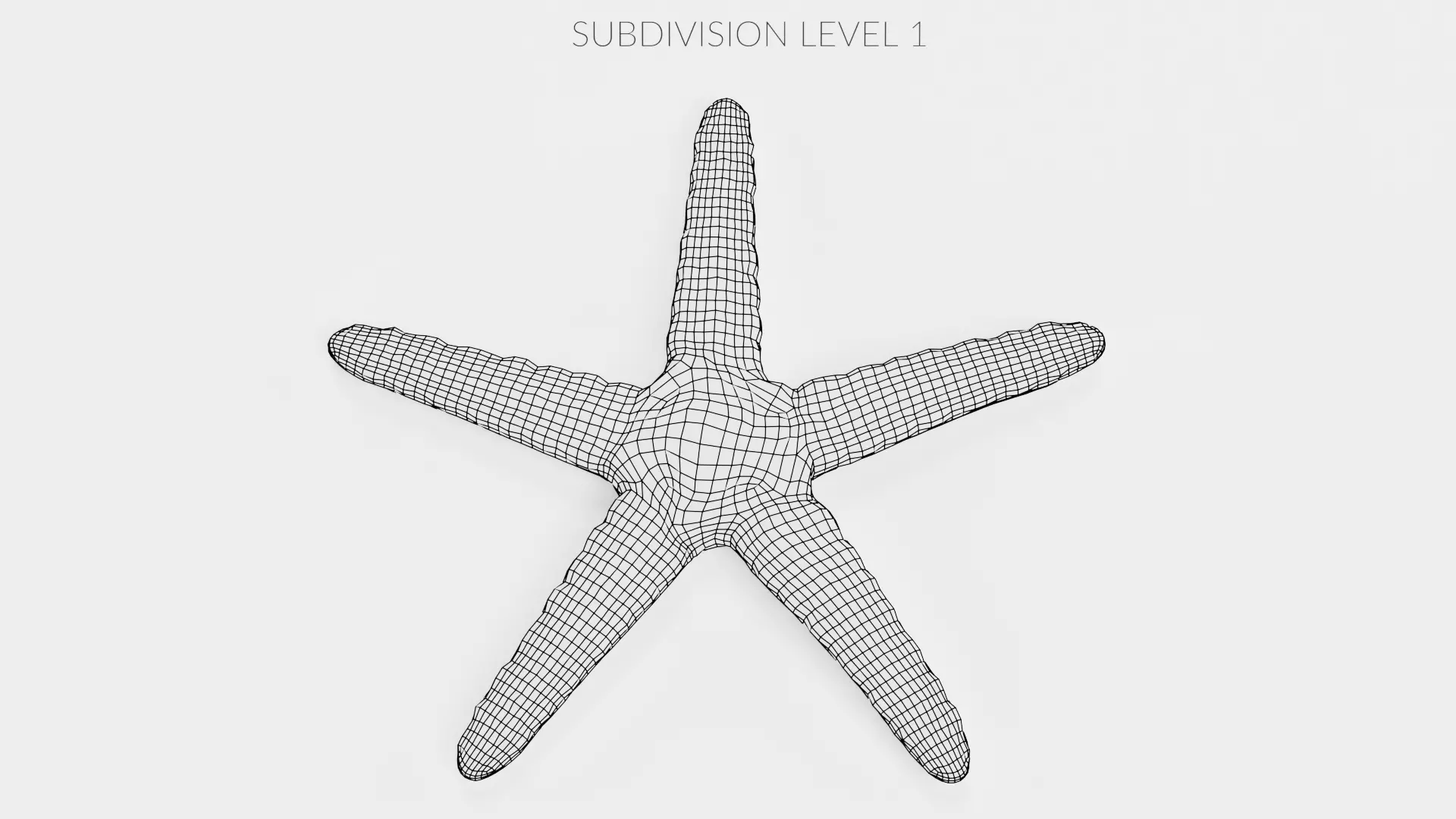 -Necklace Starfish V1 RIGGED- 3D model_9