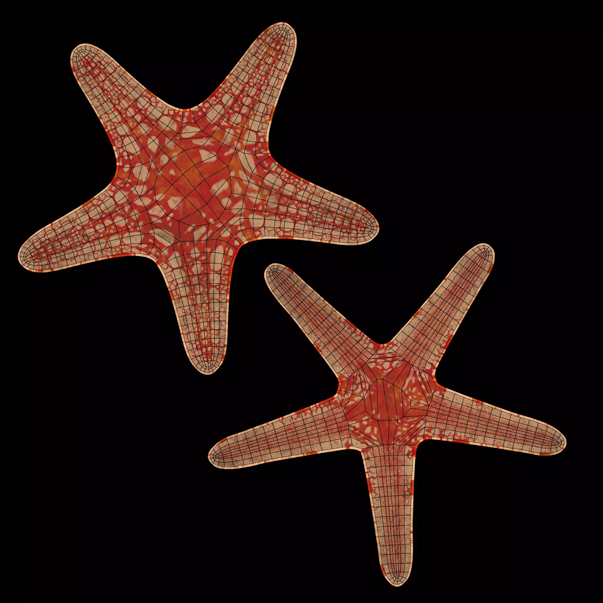 -Necklace Starfish V1 RIGGED- 3D model_7