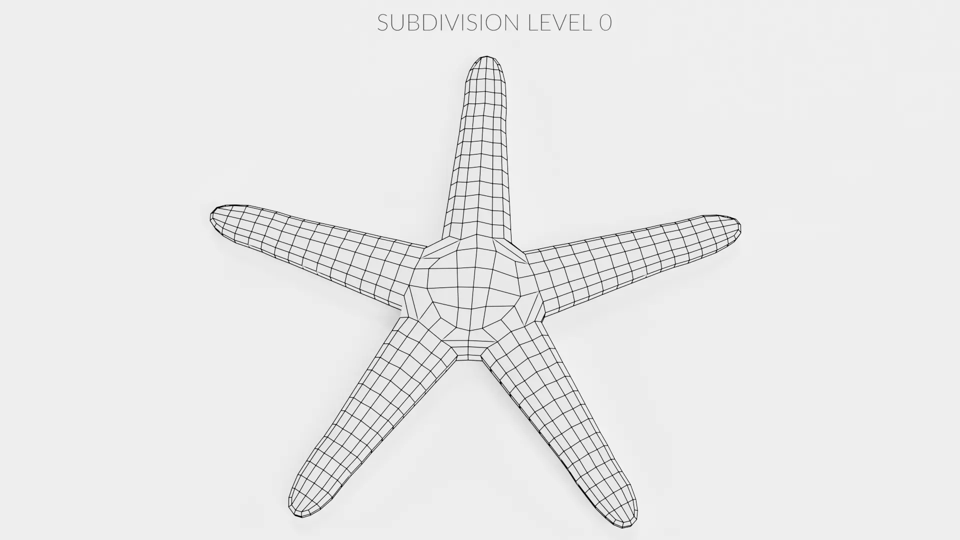 -Necklace Starfish V1 RIGGED- 3D model_8