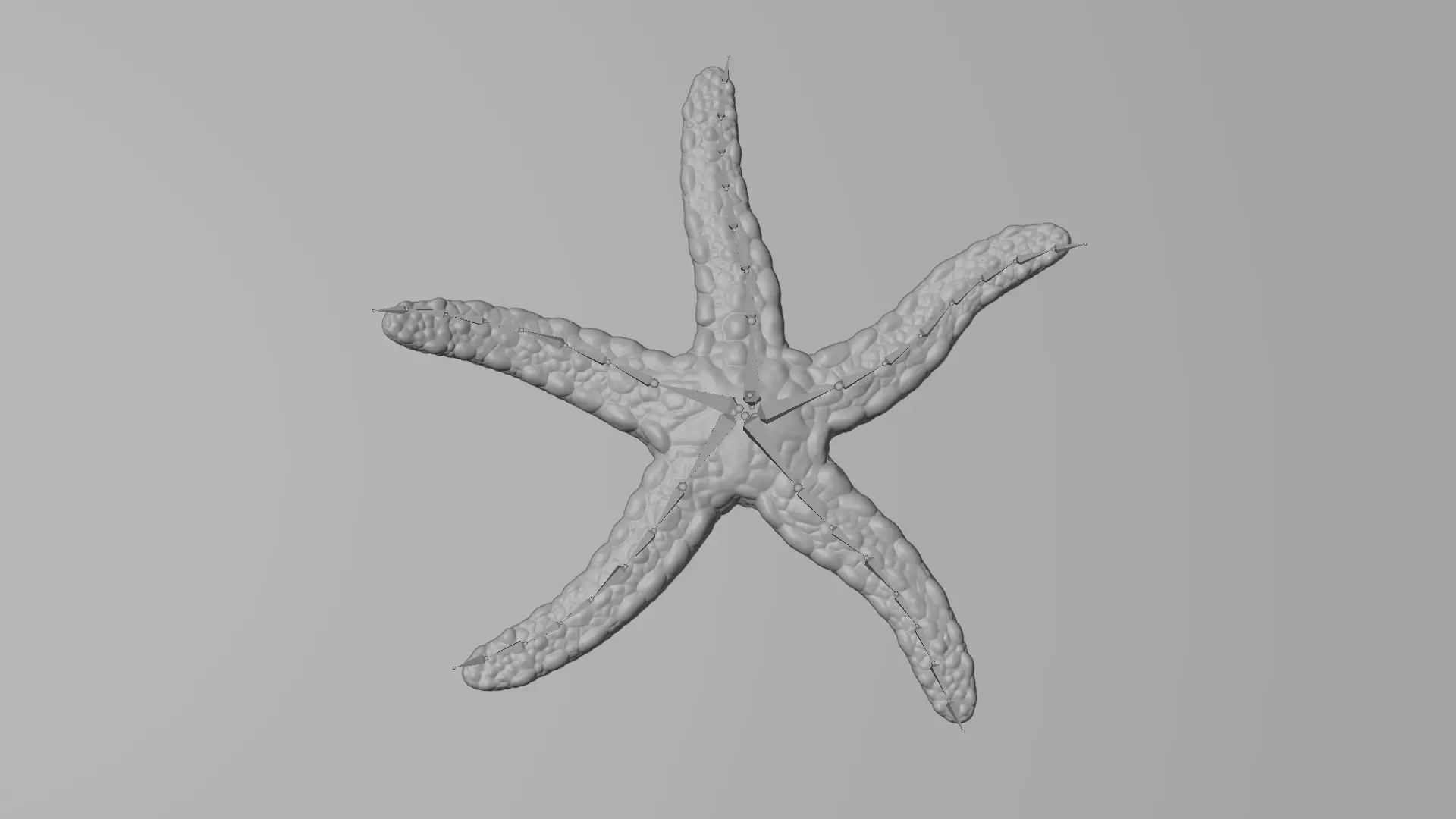 -Necklace Starfish V1 RIGGED- 3D model_2