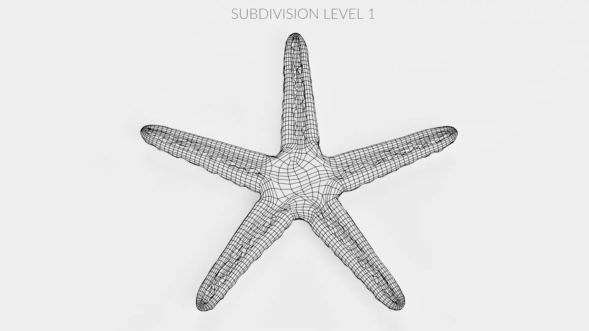 -Necklace Starfish V1 RIGGED- 3D model_11