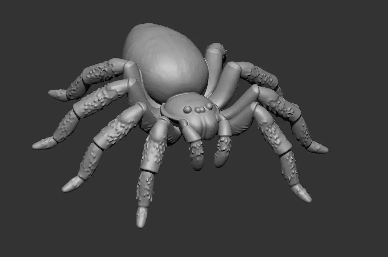 Tarantula Spider 70mm-pre supported resin printable 3D print model_11