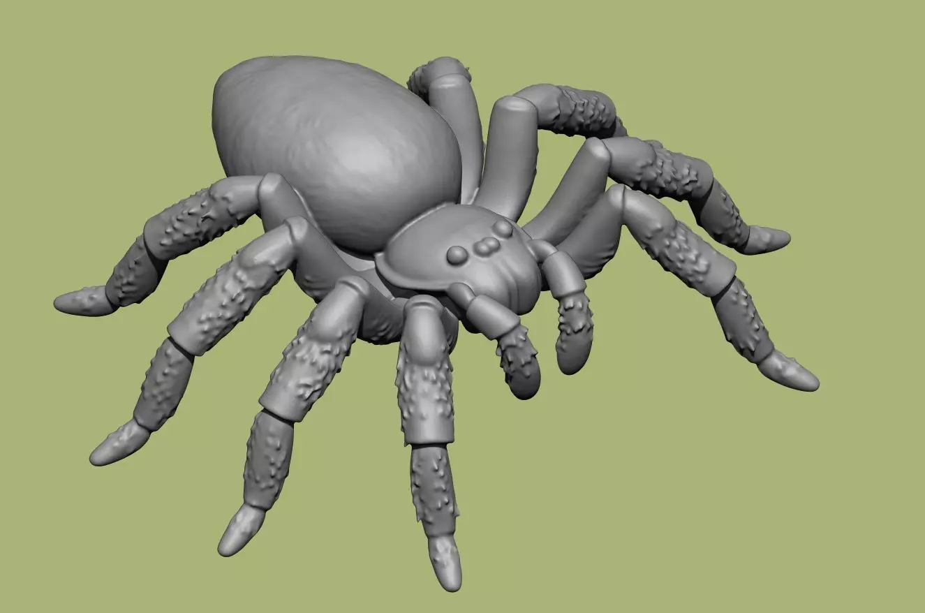 Tarantula Spider 70mm-pre supported resin printable 3D print model_2