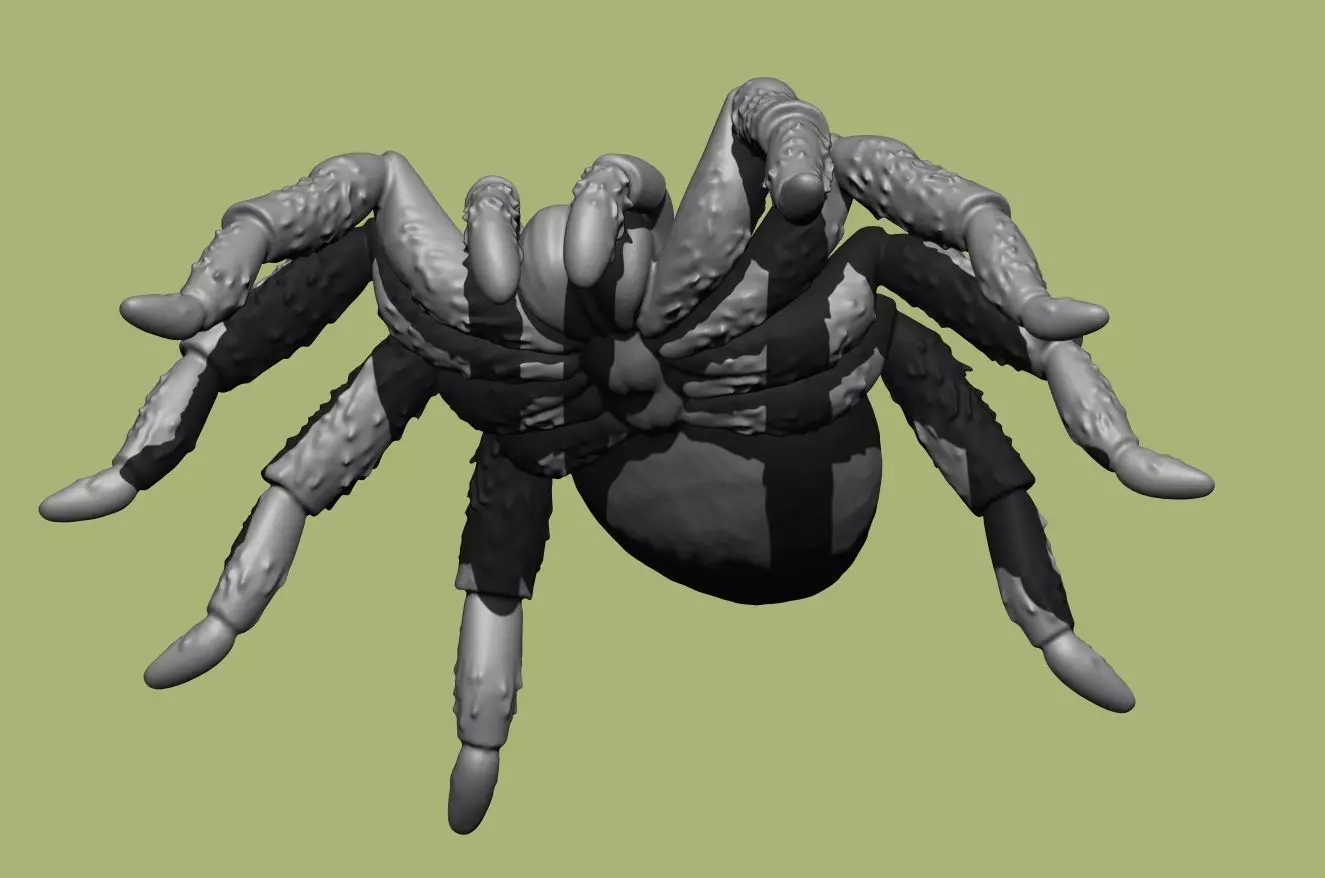 Tarantula Spider 70mm-pre supported resin printable 3D print model_7
