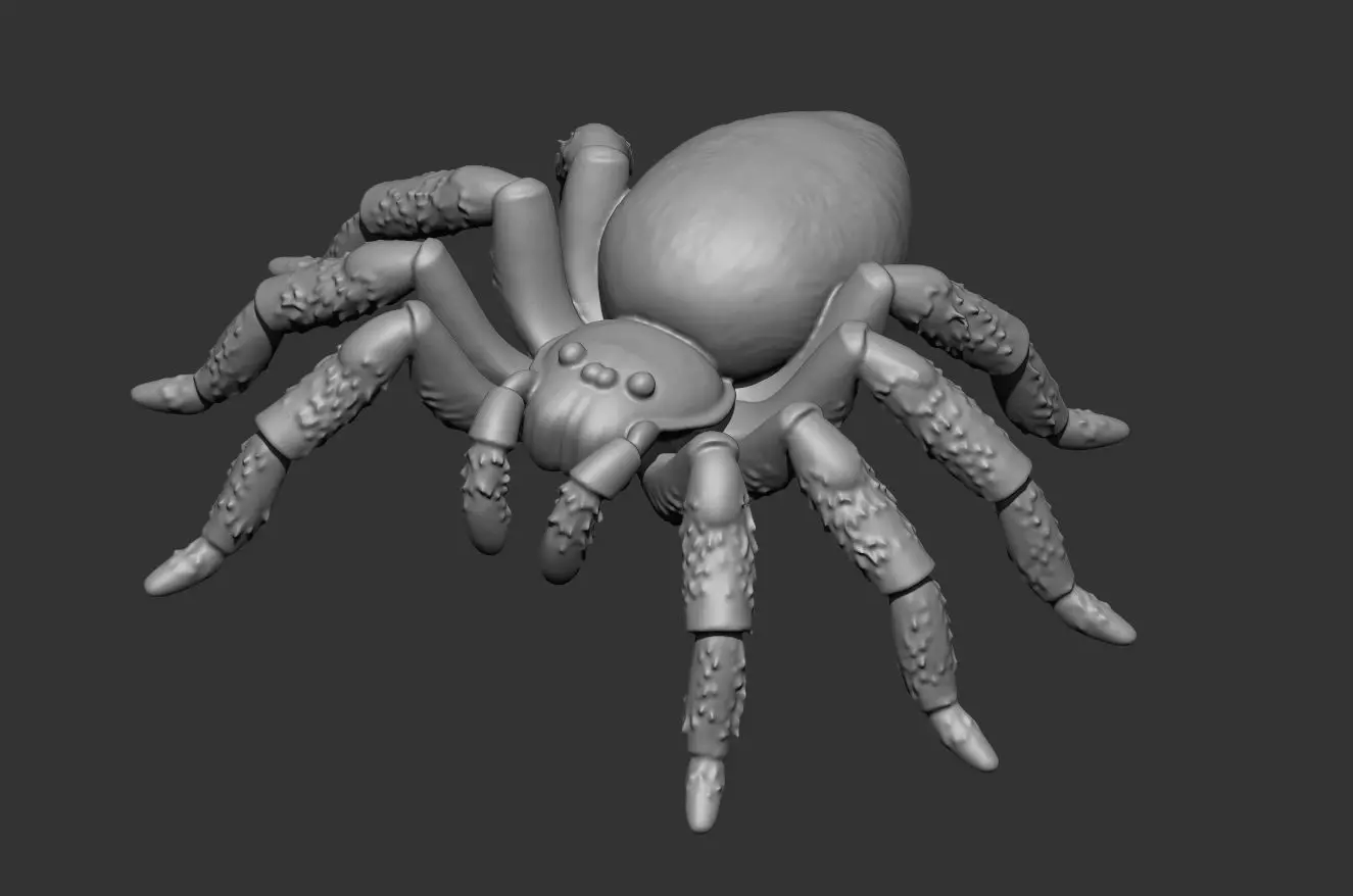 Tarantula Spider 70mm-pre supported resin printable 3D print model_10